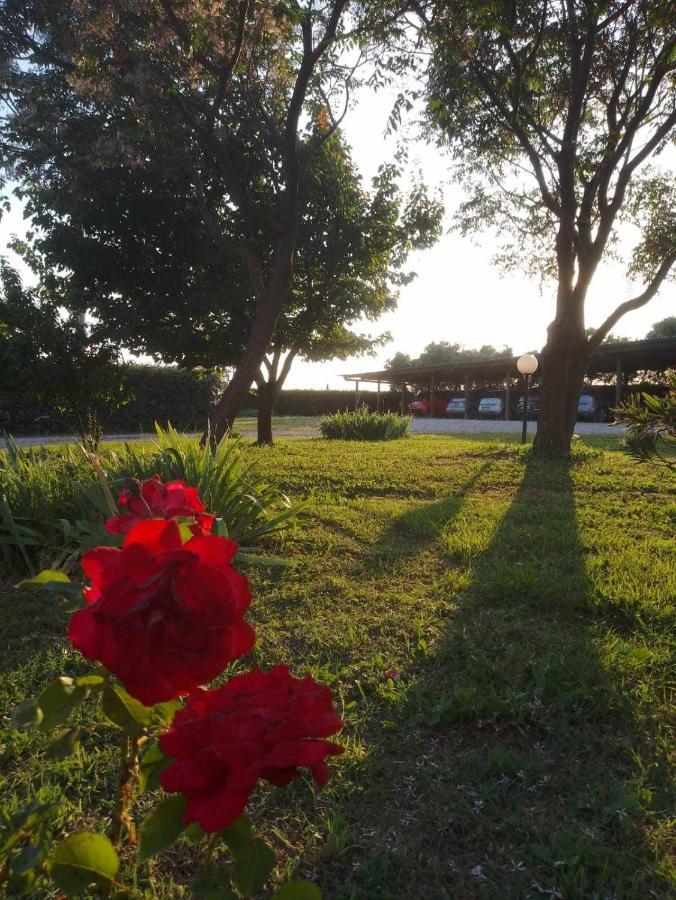 Agriturismo Podere Santa Virginia Альбінія Екстер'єр фото